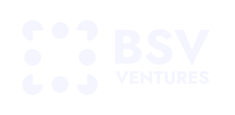 BSV Ventures