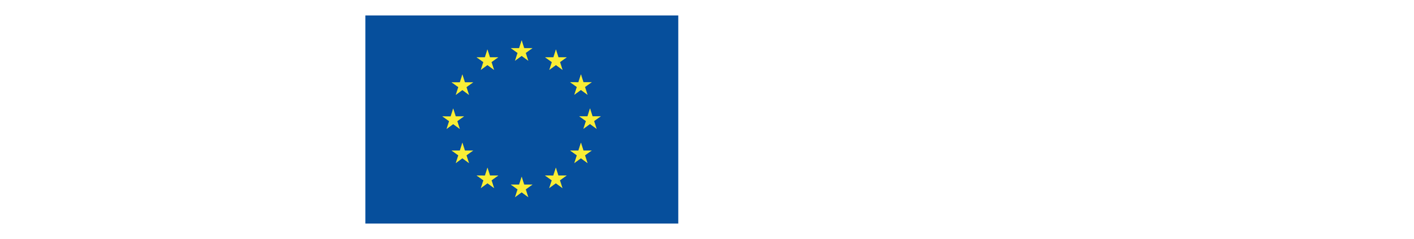 European Innovation Council